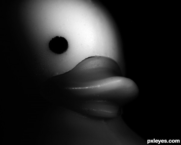 Duckie in the Dark